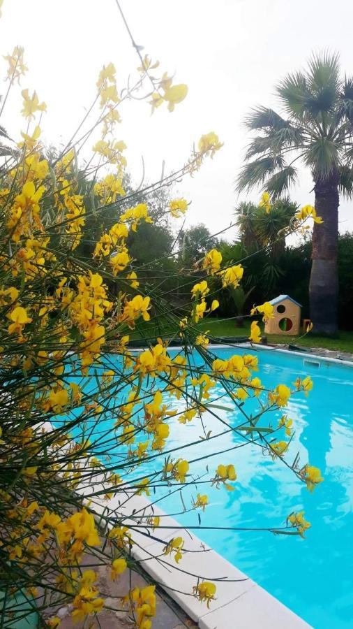 La Ginestra Bed & Breakfast Trani Exterior foto