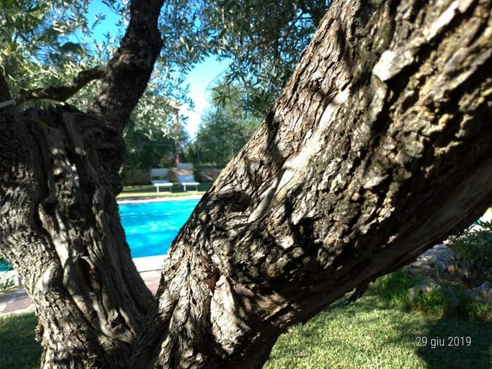 La Ginestra Bed & Breakfast Trani Exterior foto